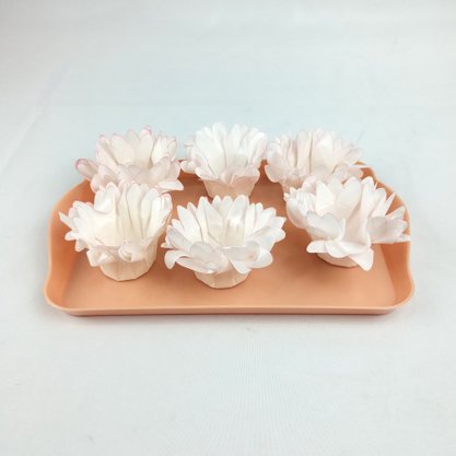 Bandeja Decorativa Retangular - Papaya - 20x13 – Tasil
