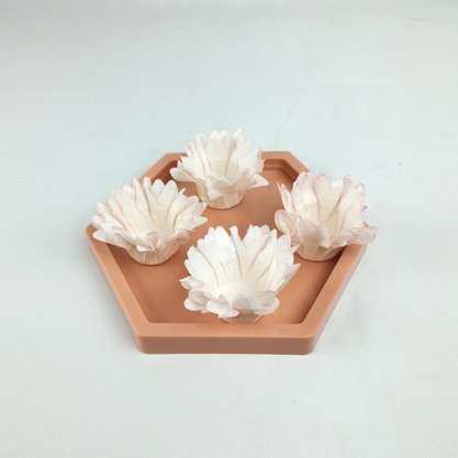 Bandeja Sextavada Decorativa - Papaya – 17cm – Tasil