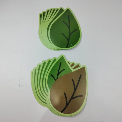 Faixa Decorativa – Safari – Festcolor