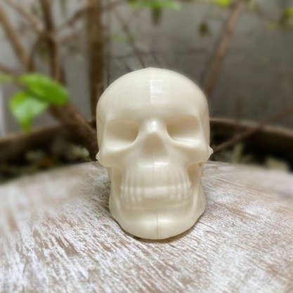 Forma Acetato BWB Especial com silicone cód.9997 Crânio Halloween