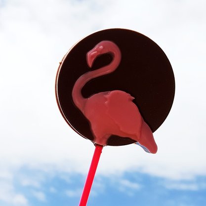 Forma Acetato BWB Simples cód. 9694 Pirulito Flamingo