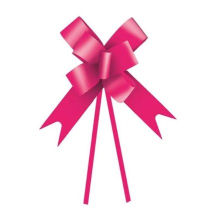 Laço pronto Plástico 23mm Pink 10 unidades - Cromus