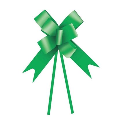 Laço pronto Plástico 23mm Verde 10 unidades - Cromus