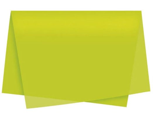 Papel Seda 49x69 Verde Pistache Unidade – Cromus
