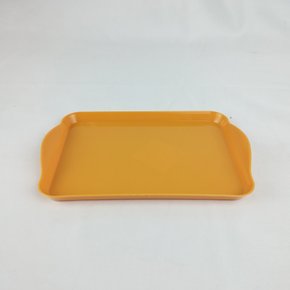 Bandeja Decorativa Retangular – Mostarda - 20x13 – Tasil