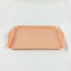 Bandeja Decorativa Retangular - Papaya - 20x13 – Tasil