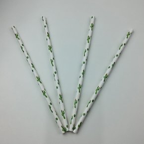 Canudo descartável de papel – Cacto - 6mm – Make+