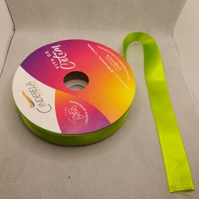 Fita Cetim Simples 22mm x 50m Verde Folha – Cinderela