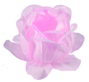 Forminha Decora Doces Rainha – 40un – Rosa Bebê Candy