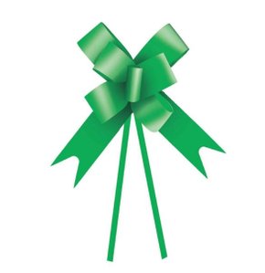 Laço pronto Plástico 18mm Verde 10 unidades - Cromus