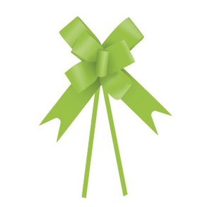 Laço pronto Plástico 30mm Verde Claro 10 unidades - Cromus