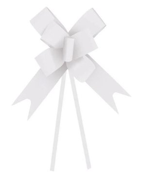 Laço pronto Plástico 49mm Branco 10 unidades - Cromus