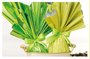 Embalagem para Ovo 69x89 decorada – unidade - SORTIDOS – Cromus 
