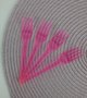 Garfo sobremesa com 50 unidades – Neon Rosa – Bello Festas 
